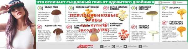 крисы Краснослободск