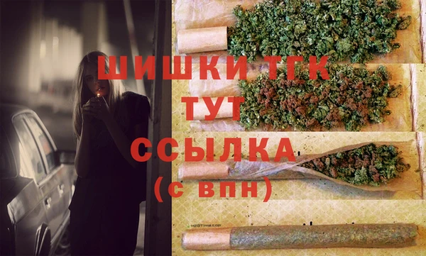 крисы Краснослободск